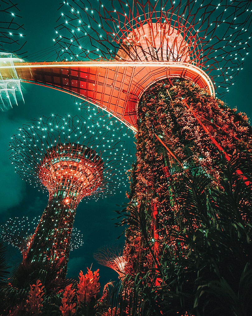 Beleuchtete Supertrees in den Gardens by the Bay