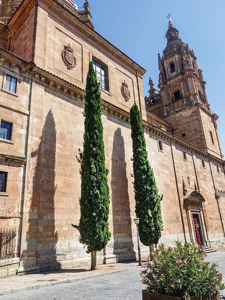 Universität in Salamanca. Foto: © CRUCERO