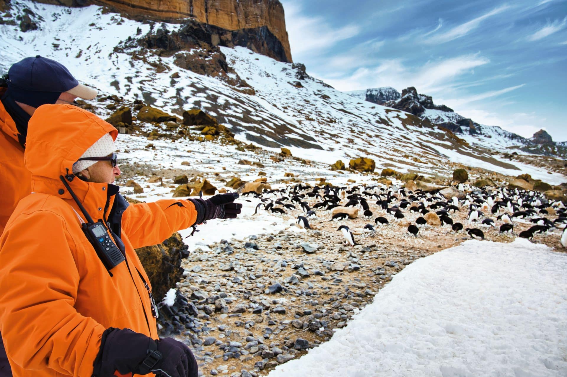 Hapag-Lloyd Cruises Gäste beobachten Pinguine, Robben, See-Elefanten und Wale – selbstverständlich immer mit Respekt vor der sensiblen Natur. Foto: © Hapag-Lloyd Cruises