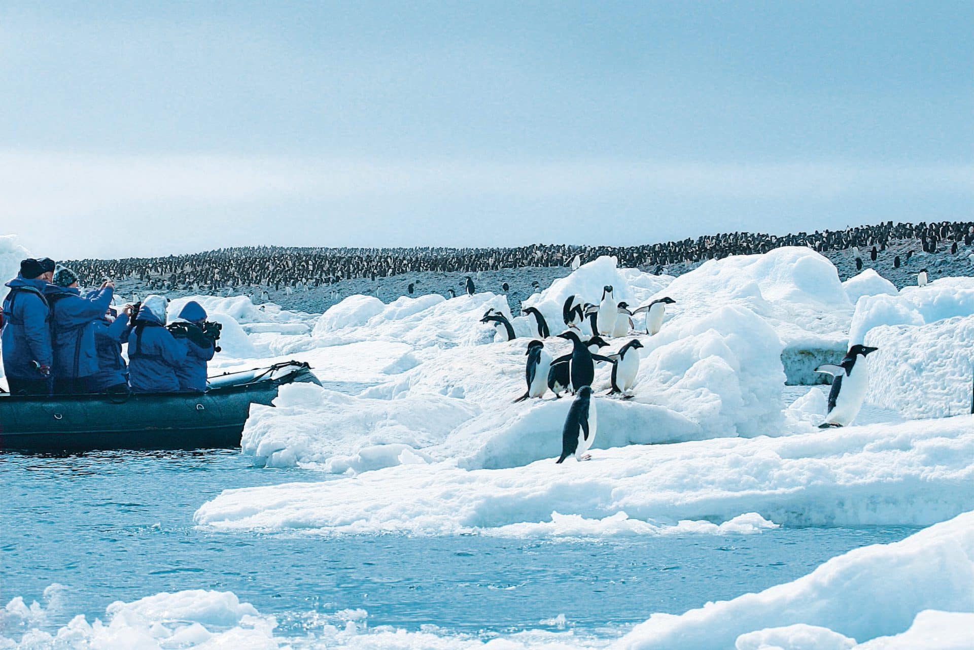 Hapag-Lloyd Cruises Gäste beobachten Pinguine, Robben, See-Elefanten und Wale – selbstverständlich immer mit Respekt vor der sensiblen Natur. Foto: © Hapag-Lloyd Cruises