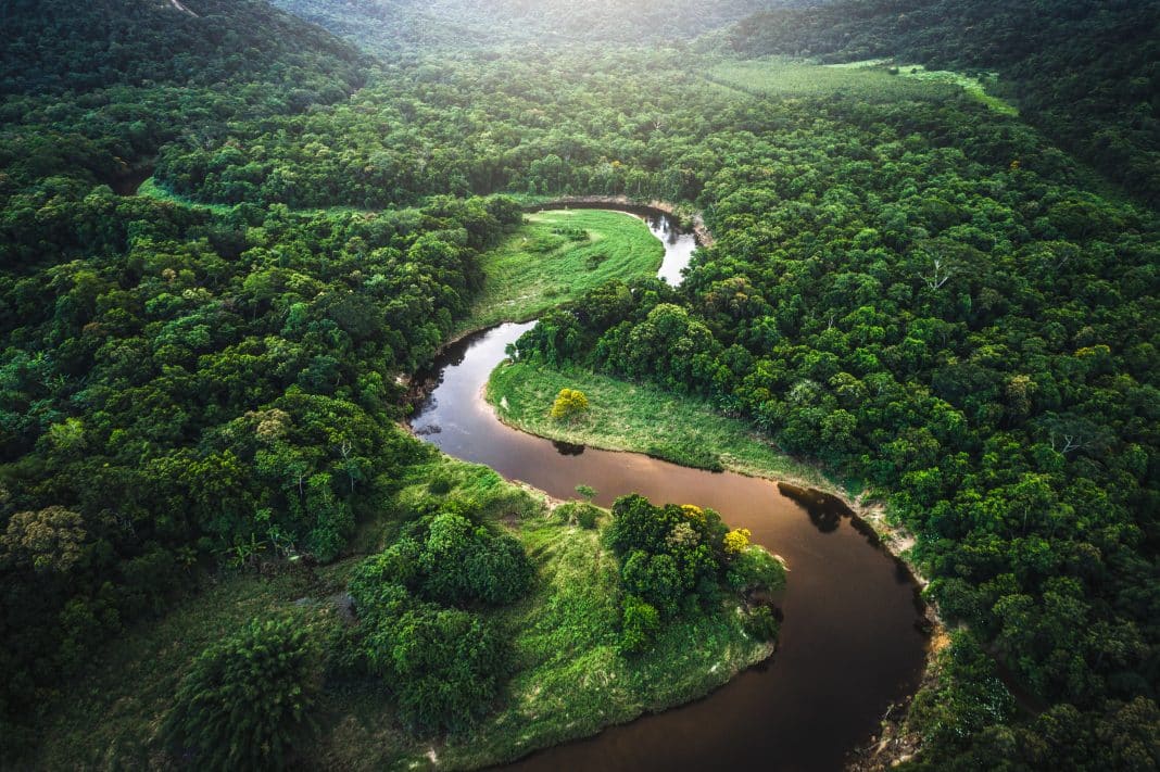 Die beeindruckende Natur des Amazonas in Brasilien. Foto: © Explora Journeys