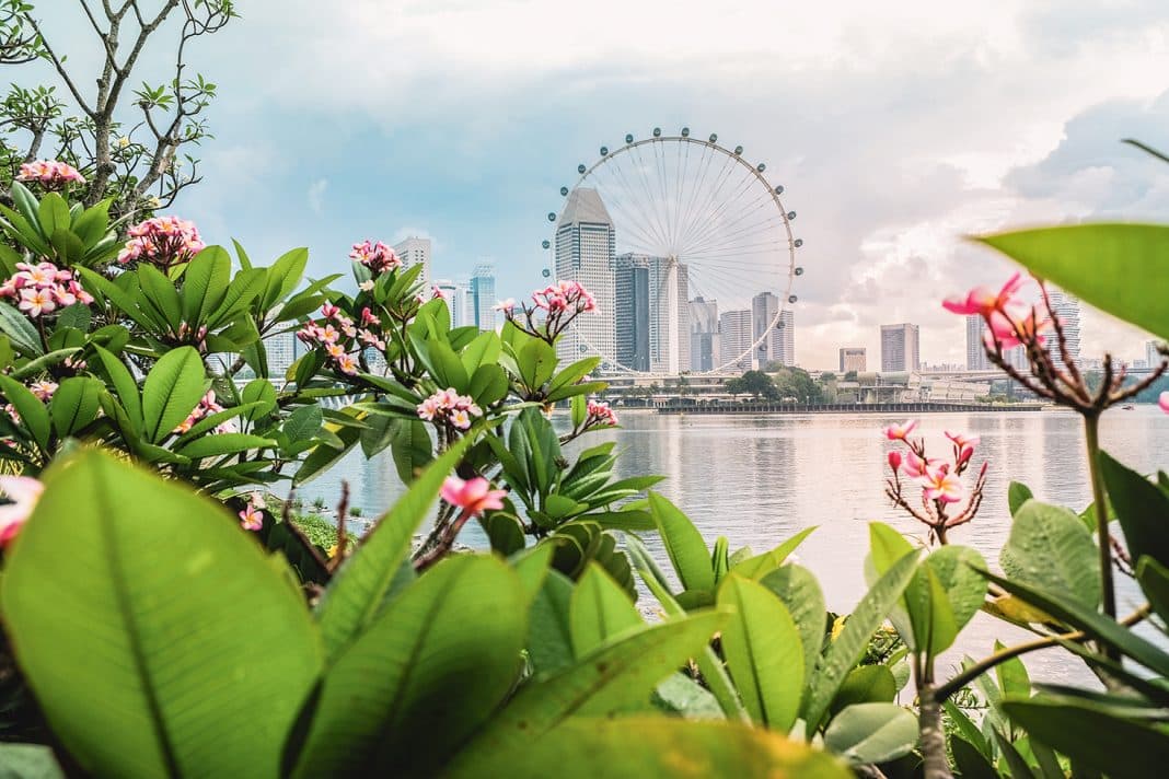 Grünes Singapur: Die Gardens by the Bay sind ein weltbekanntes, rund 100 Hektar großes Parkgelände auf der Marina Bay. Auf dem Gelände befinden sich auch einige exklusive Wohnunterkünfte für Gäste. Foto: © Allen Chun