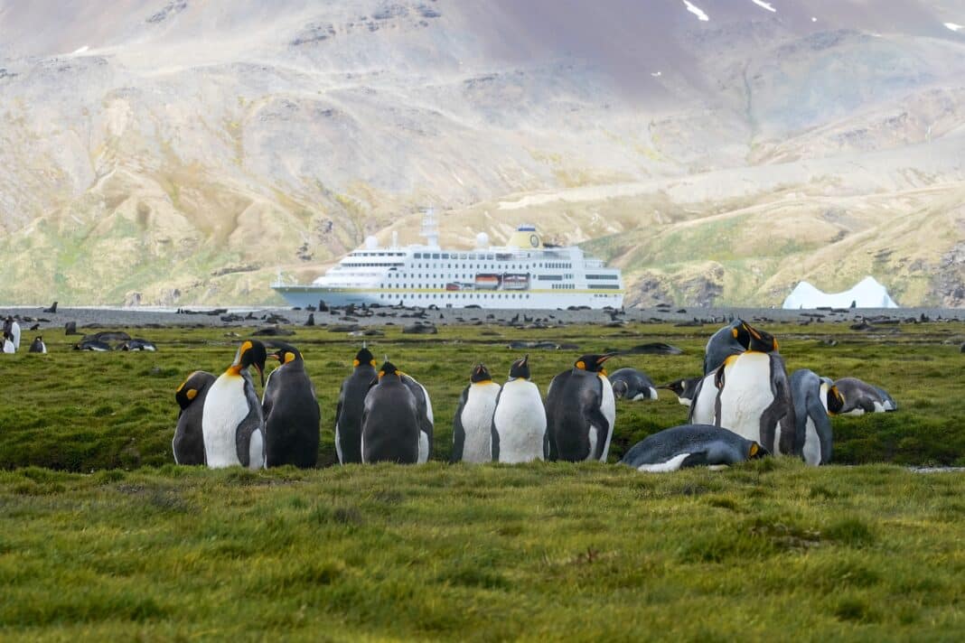 MS Hamburg steuert auf der Route von Kap zu Kap das Britische Überseeterritorium Tristan da Cunha im Südatlantik an • 29-tägige Kreuzfahrt startet in der Antarktis und endet in Südafrika. Foto: © Plantours Kreuzfahrten