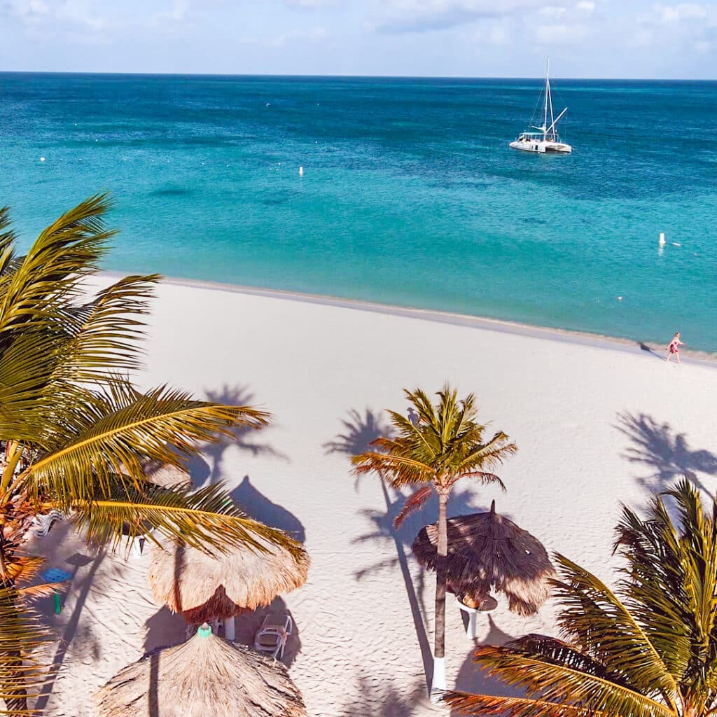 Strand mit Palmen. Foto: © Cunard Line