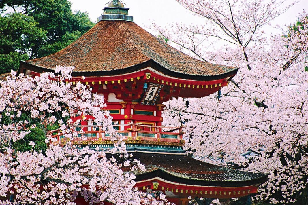 Seabourn Quest bereist die nördlichsten und südlichsten Inseln Japans und besucht das Land auf dem Höhepunkt der Kirschblütenzeit. Foto: © Seabourn