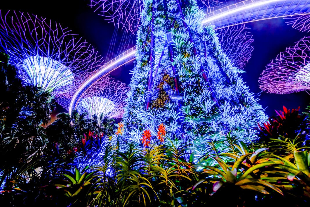 Die Supertrees in den Gardens by the Bay in Singapur. Foto: © Torval Mork / Adobe Stock