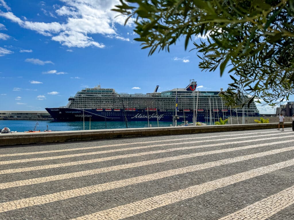 Die Mein Schiff 7 von TUI Cruises im Hafen von Funchal auf Madeira. Foto: Christoph Assies