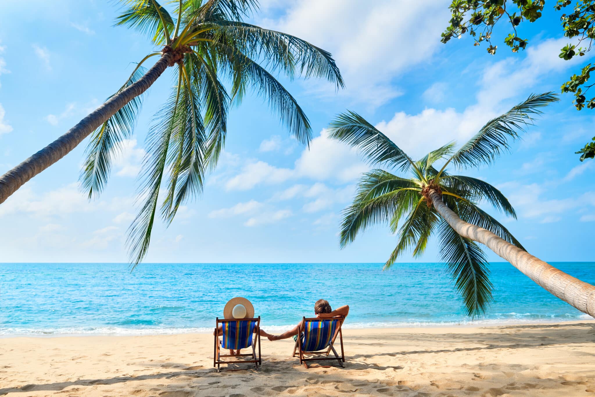 Exklusive-Kreuzfahrt-Erlebnisse-Wie-MSC-Cruises-Luxus-und-Entdeckerlust-vereint