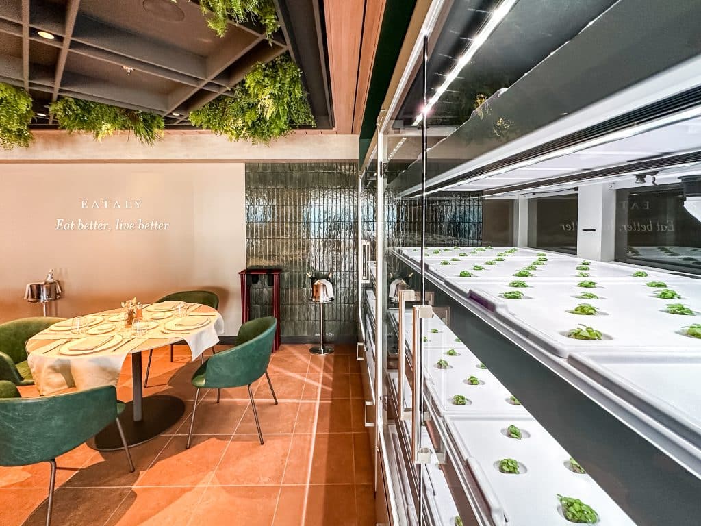 Eataly ist wieder an Bord von MSC, hier ein Teileinblick in den Anzuchtschrank für Basilikum-Pflanzen, daneben der Gastraum. Foto: © Tobias Lange-Rüb / CRUCERO