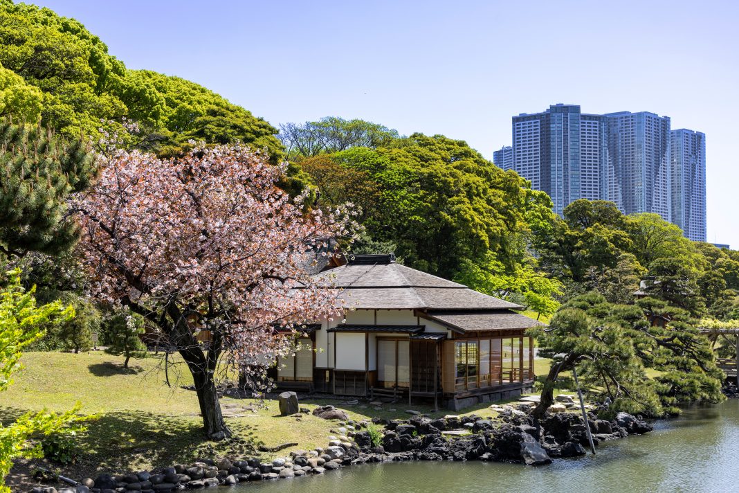 Kirschblüte in Tokyo, Foto: © Silversea Cruises