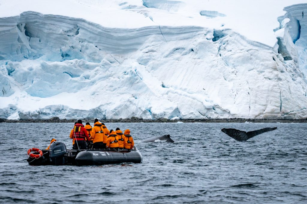 Leith Cove in der Antarktis mit Ausflugsteam der Seabourn Pursuit. Foto: © Seabourn