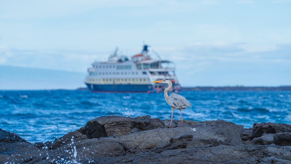 HX-Expeditions-mit-langfristigem-Engagement-auf-den-Gal-pagos-Inseln