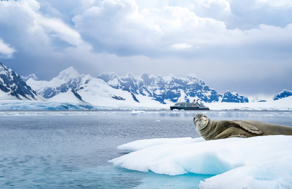 Borgen Bay, Antarktis. Foto: Seabourn