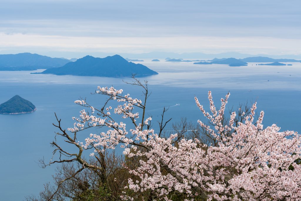 Die Inseln des Seto-Binnenmeeres mit Kirschblüten in voller Blüte im Frühling. Blick vom Berg Misen auf die Insel Itsukushima (Miyajima), Hiroshima, Japan.