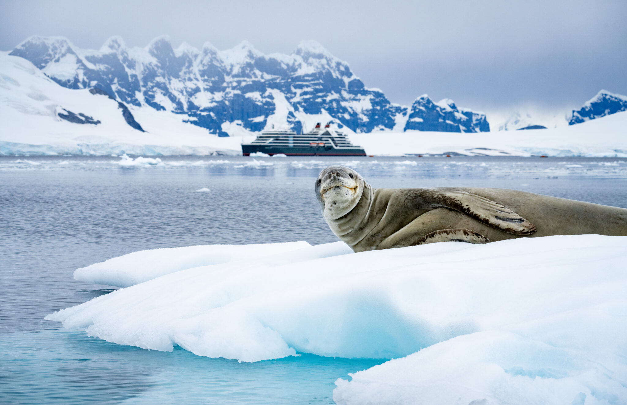 Zum-40-Geburtstag-Seabourn-b-ndelt-54-Jubil-umsreisen-in-der-Ruby-Collection-