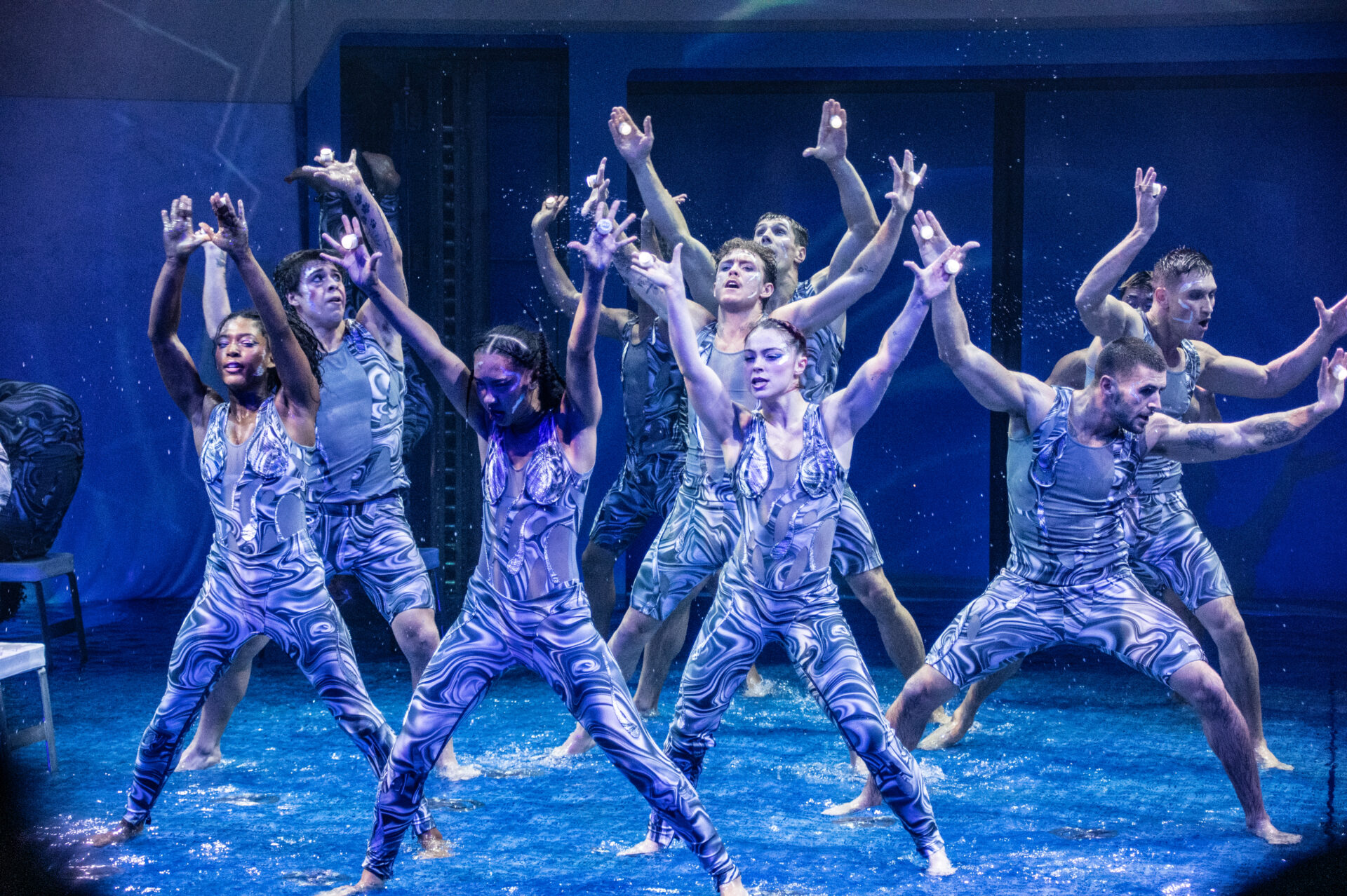 Die Aquashow im Aquadome auf der Legend of the Seas